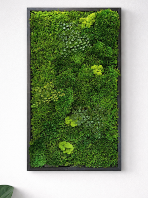 Prírodná stena v ráme