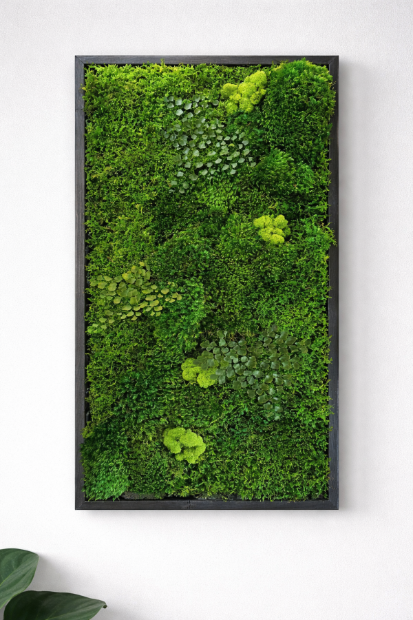 Prírodná stena v ráme